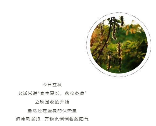 QQ拼音截图未命名1.jpg